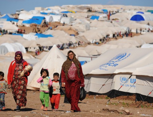 Bilim Akademisi’nin Küresel Mülteci Krizi Konusunda Çağrısı